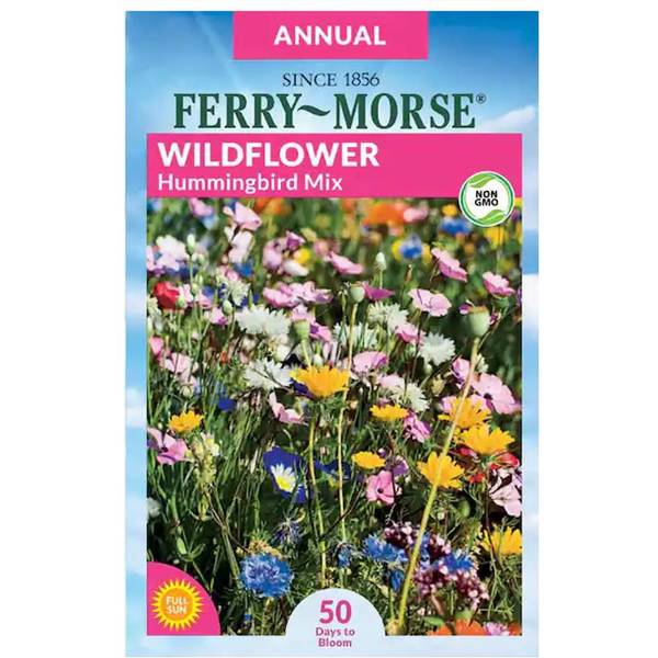 Photo of Hummingbird Mixture Wildflower