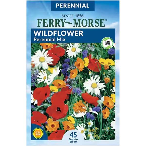 Photo of Perennial Mixture Wildflower