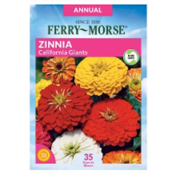 Photo of California Giants Zinnia