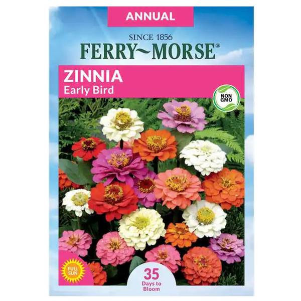 Photo of Early Bird Zinnia