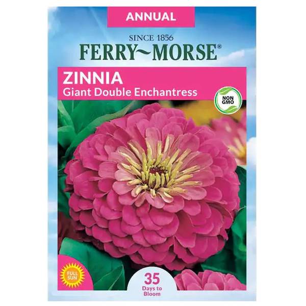 Photo of Giant Double Flowered Enchantress Zinnia