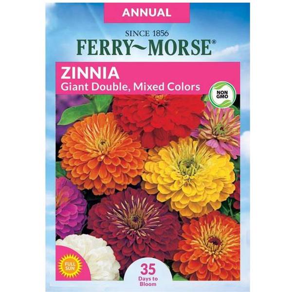Photo of Giant Double Flowered Mixed Colors Zinnia