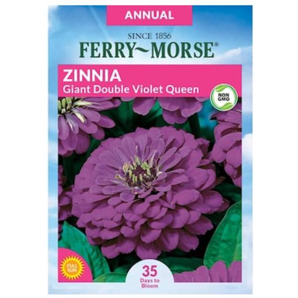 Photo of Giant Double Flowered Violet Queen Zinnia