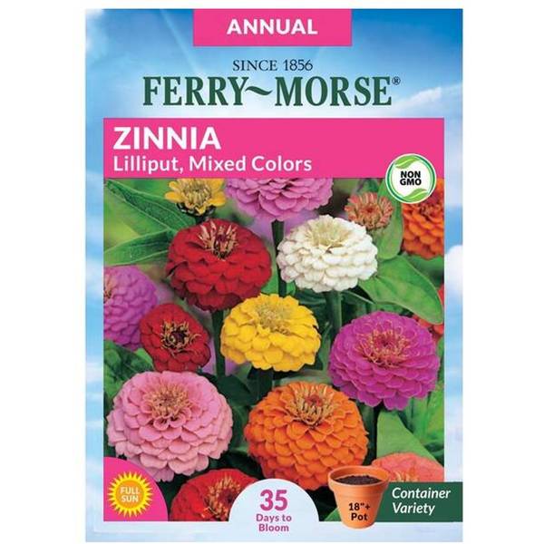 Photo of Lilliput Mixed Colors Zinnia