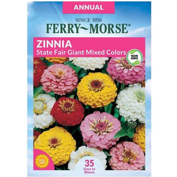 Photo of State Fair Giant Mixed Colors Zinnia