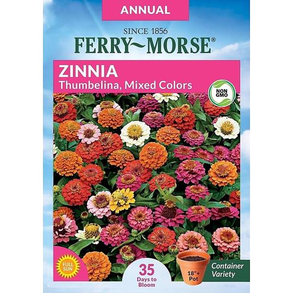 Photo of Thumbelina Mixed Colors Zinnia