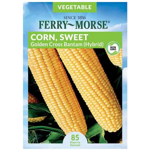 Photo of Golden Cross Bantam Hybrid Sweet Corn