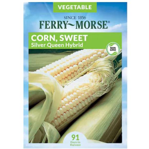 Photo of Silver Queen Hybrid Sweet Corn