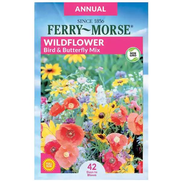 Photo of Bird and Butterfly Mixture Wildflower
