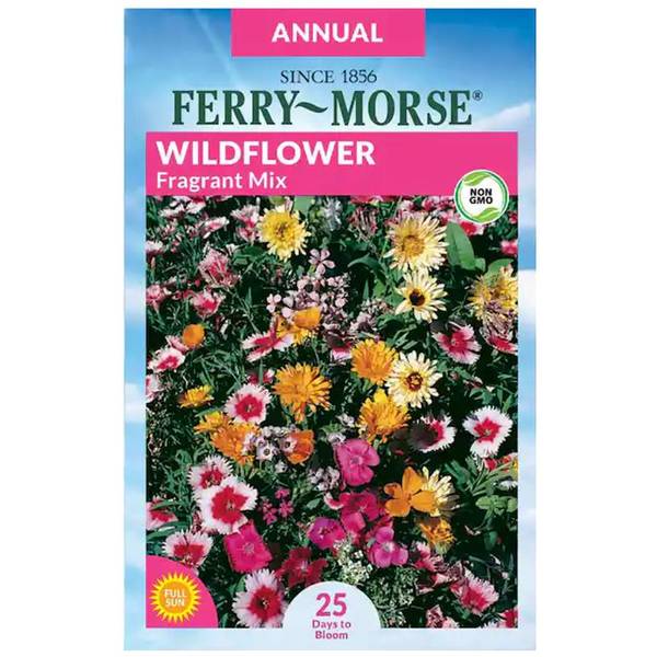 Photo of Fragrant Mixture Wildflower