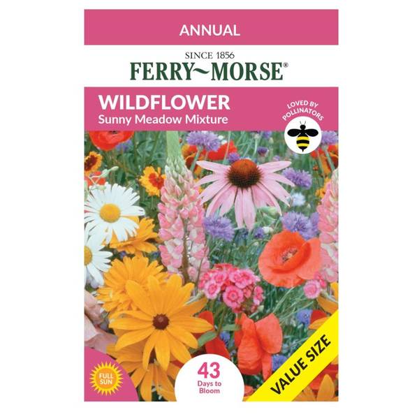 Photo of Sunny Meadow Mixture Wildflower