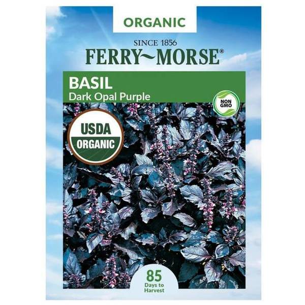 Photo of Organic Dark Opal Basil