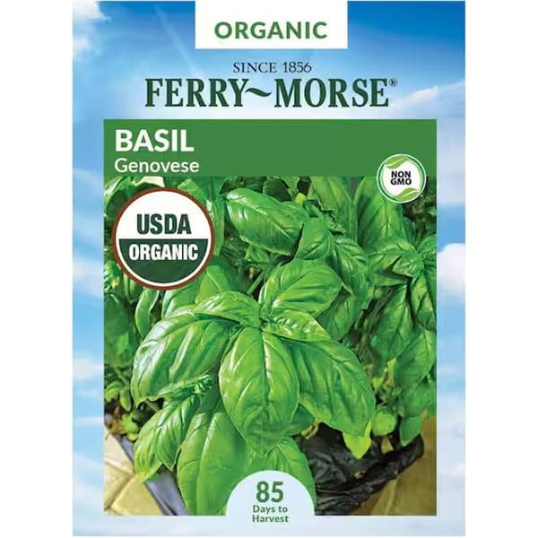 Photo of Organic Genovese Basil