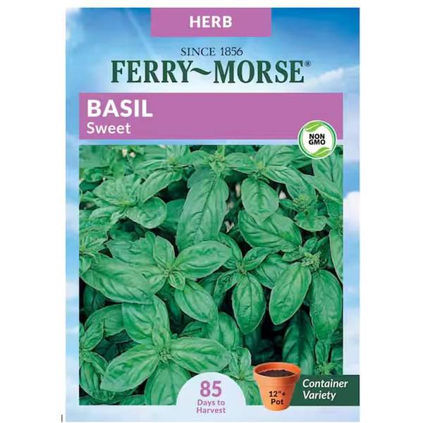 Photo of Organic Sweet Basil