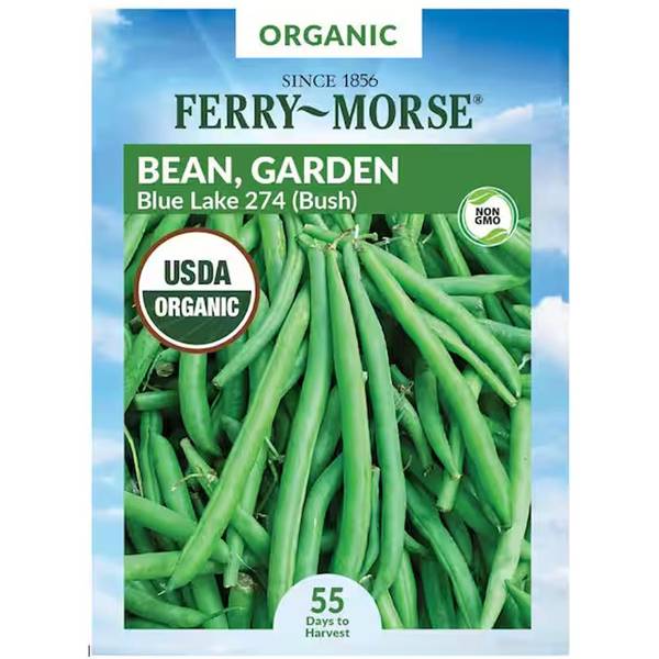Photo of Organic Blue Lake 274 Bean