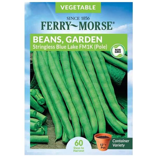 Photo of Organic Blue Lake Stringless Bean