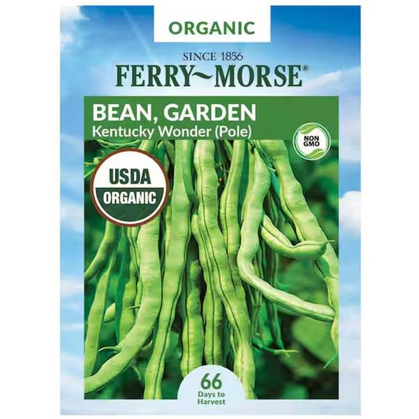 Photo of Organic Kentucky Wonder Bean