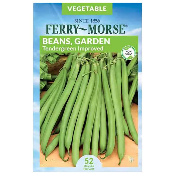 Photo of Organic Tendergreen Improved Bean