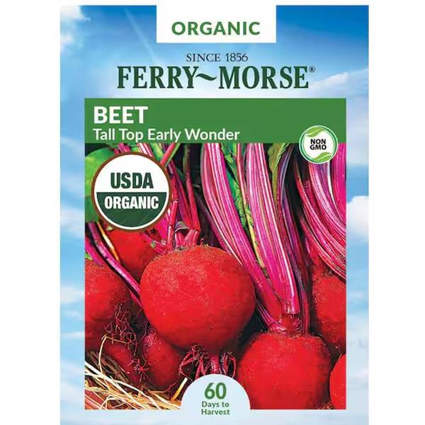 Photo of Organic Tall Top Early Wonder Beet