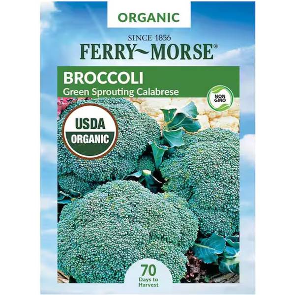 Photo of Organic Green Sprouting Calabrese Broccoli