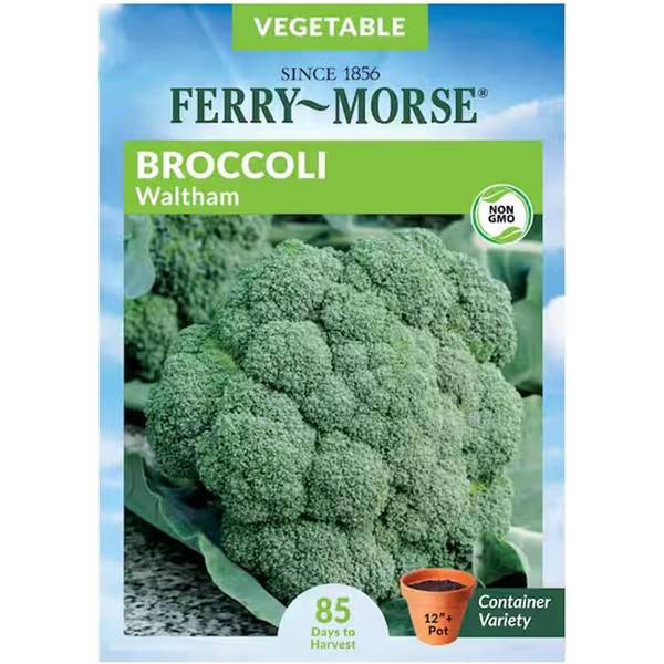 Photo of Organic Waltham Broccoli