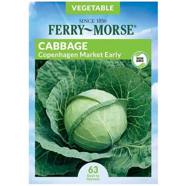 Photo of Organic Copenhagen Market Early Cabbage