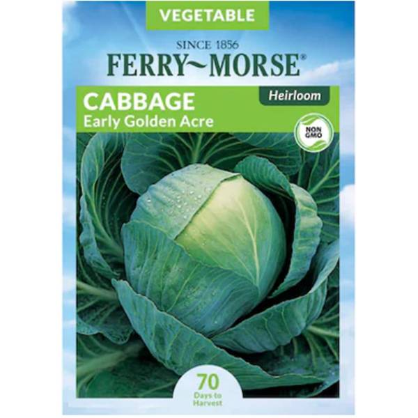 Photo of Early Golden Acre Organic Cabbage
