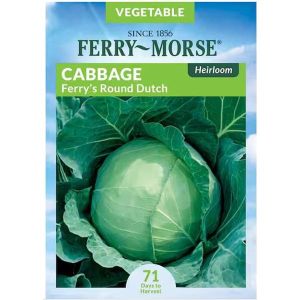 Photo of Organic Ferry's Round Dutch Cabbage