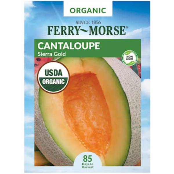 Photo of Organic Honey Rock Cantaloupe