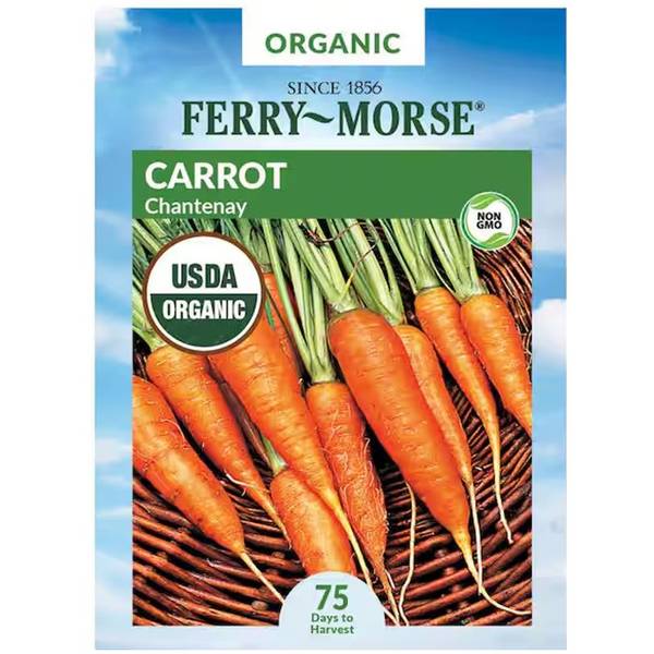 Photo of Organic Chantenay Heirloom Carrot