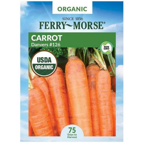 Photo of Organic Danvers Carrot