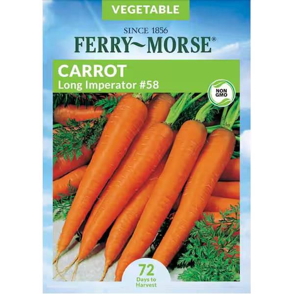 Photo of Organic Long Imperator #58 Carrot