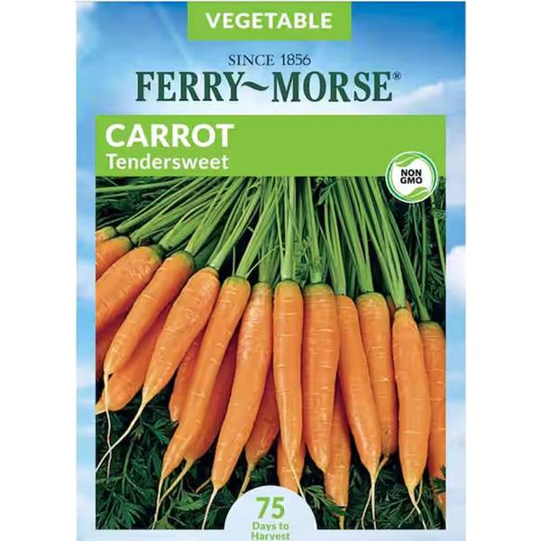 Photo of Organic Tendersweet Carrot