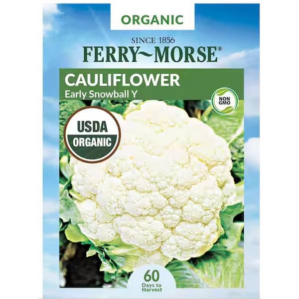 Photo of Organic Snowball Y Cauliflower