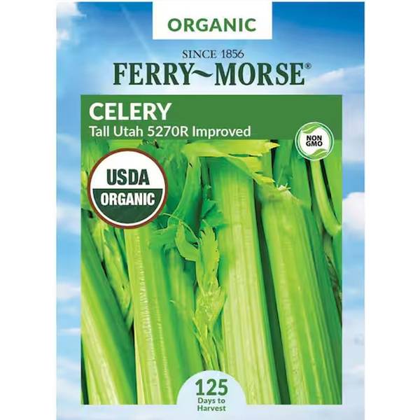 Photo of Organic Tall Utah Celery