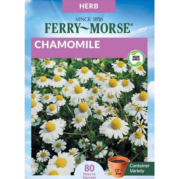 Photo of Chamomile Organic