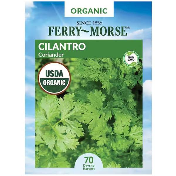 Photo of Organic Coriander Cilantro