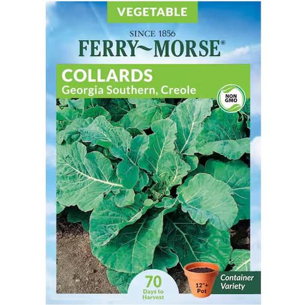 Photo of Organic Georgia Southern Creole Collards