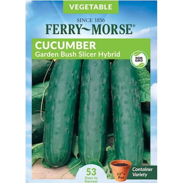 Photo of Organic Garden Bush Hybrid Cucumber