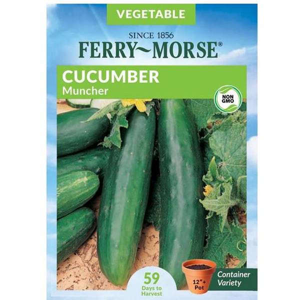 Photo of Organic Muncher Cucumber