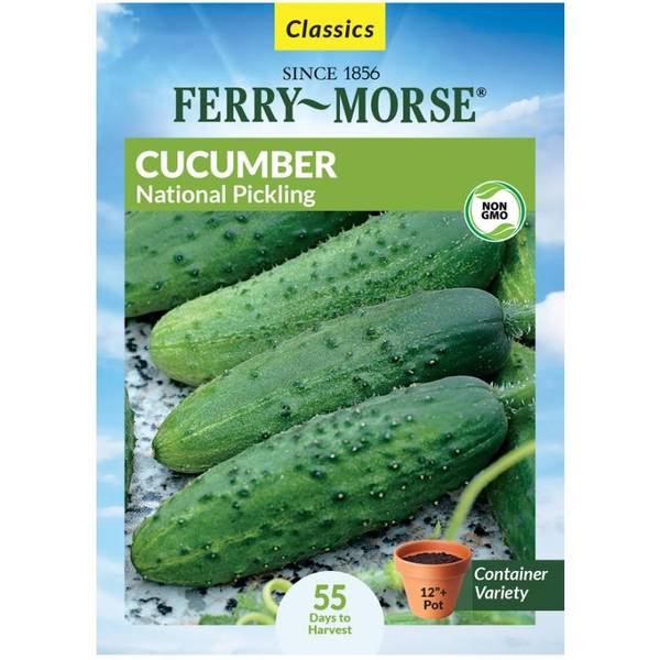 Photo of Organic National Pickling Cucumber