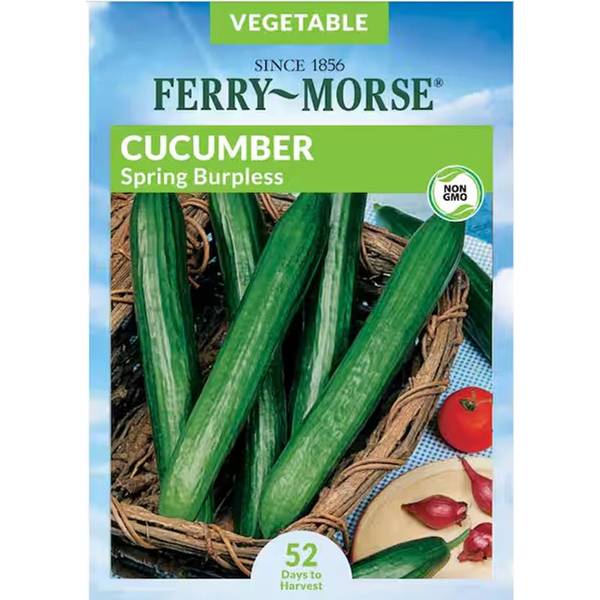 Photo of Organic Spring Burpless Cucumber