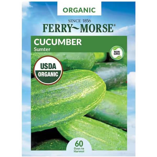 Photo of Organic Sumter Cucumber