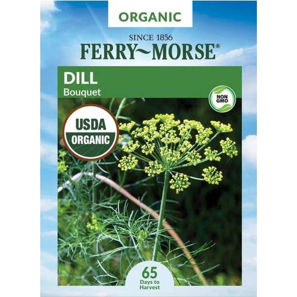Photo of Organic Bouquet Dill