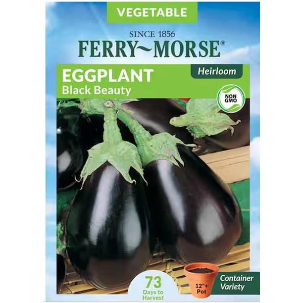 Photo of Oragnic Black Beauty Heirloom Eggplant