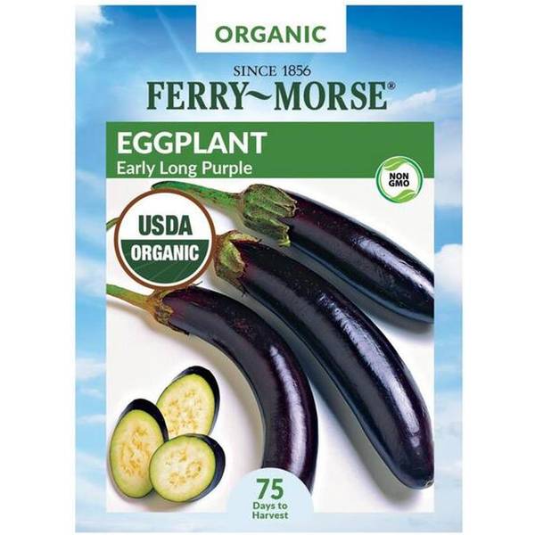 Photo of Organic Long Purple Early Eggplant