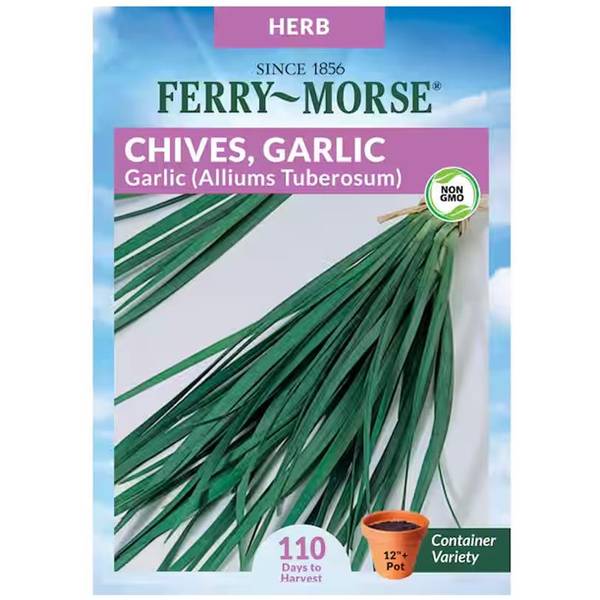 Photo of Organic Garlic Chives