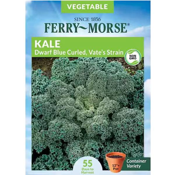 Photo of Organic Dwarf Blue Curled Kale