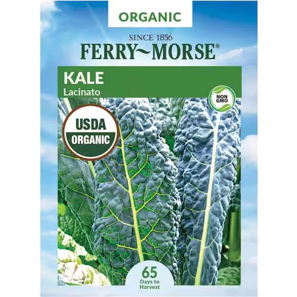 Photo of Organic Lacinato Kale