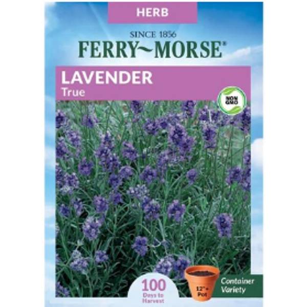 Photo of Organic True Lavender
